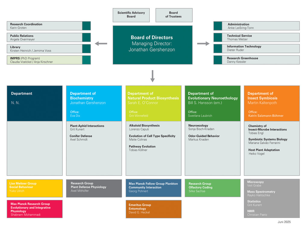 Management and Key Representatives