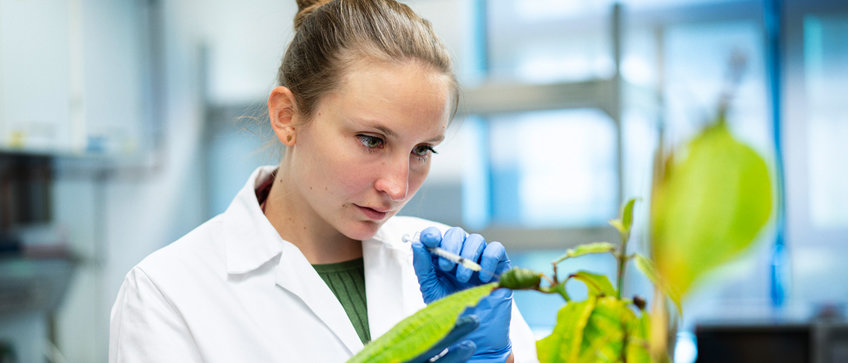 Photo: Anna Schroll A young female scientist examines a plant in the laboratory.