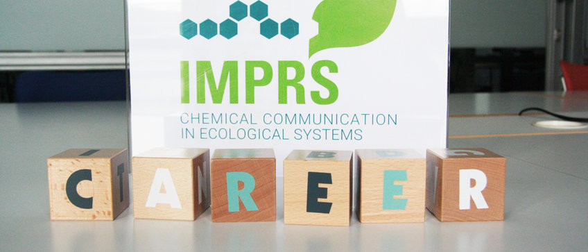 Career Development Career Development