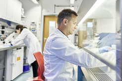 Yannick Pauchet cultivates insect cells for the expression of enzymes of interest for subsequent functional characterization.