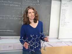 Sarah O'Connor with a molecular model of the alkaloid vinblastine from the Madagascar Periwinkle Catharanthus roseus, which is used to treat cancer. The goal of her research is to understand the complete biosynthetic pathway in the plant, i.e. to elucidate all enzymatic steps that lead to the production of the plant metabolite.