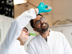 Dineshkumar Kandasamy looks at an experiment with tunneling bark beetles in a fungal medium with a colleague.