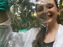 Andrea Müller bei der Feldforschung an Ameisenpflanzen im peruanischen Amazonas-Regenwald. Sie zeigte in Experimenten, dass sich die Ameisenpflanze Tococa quadrialata bei der Verteidigung gegen Feinde nicht allein auf symbiotische Ameisen verlässt, die der Pflanze als Bodyguards dienen. Bei Befall durch Fraßfeinde kann sie auch eigene Abwehrmechanismen aktivieren.