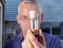 Markus Knaden is worried that air pollution not only severely disrupts the chemical communication of vinegar flies, but also of many other insects and contributes to the decline of insect populations.