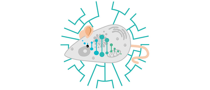 Max Planck Research Group Evolutionary and Integrative Physiology Logo of the group with mouse model