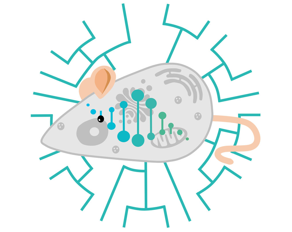 Logo of the group with mouse model