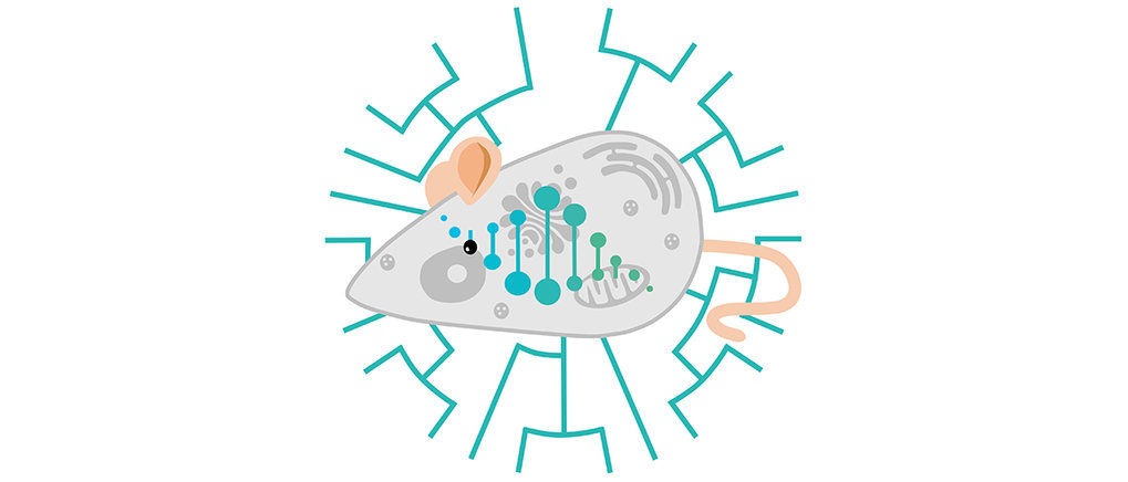 Evolutionäre und integrative Physiologie