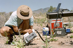 Odor analysis on plants during a field trial