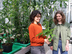 Maite Colinas and Sarah O'Connor
