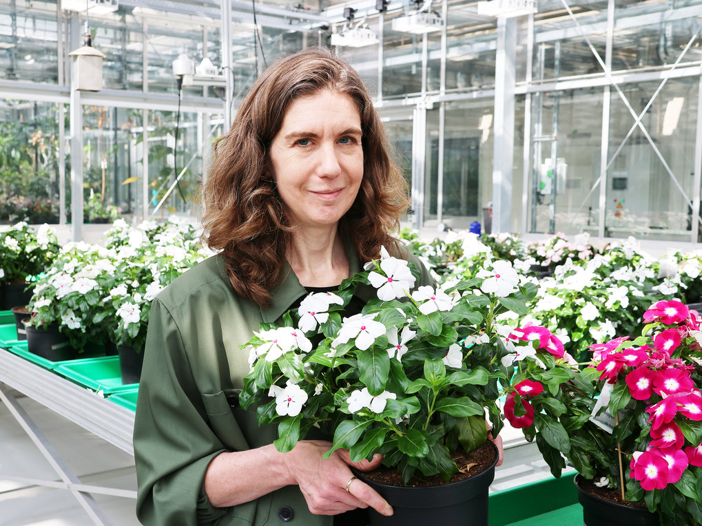 Prof. Dr. Sarah E. O'Connor